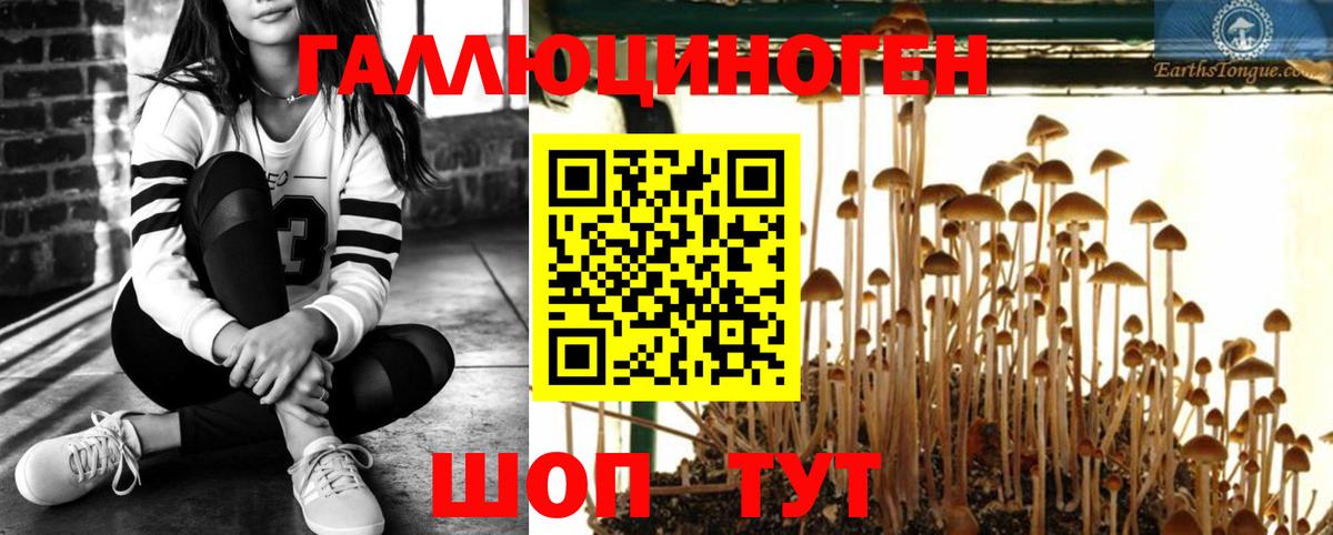 Псилоцибиновые грибы Magic Shrooms  Вход с VPN  Керчь 