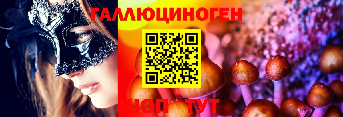 Галлюциногенные грибы мухоморы Керчь